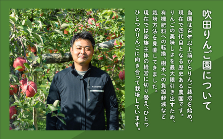 【レビューキャンペーン】≪1~3月発送≫山の完熟サンふじ・シナノゴールド約3kg 【青森県 平川市 吹田りんご園】 [hi-0010-013]