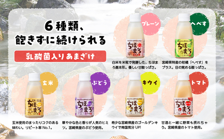 乳酸菌入りあまざけ ちほまろ 150g　30本セット【プレーン へべす 玄米 キウイ トマト ブドウ】 セット 飲み比べ 味比べ 詰め合わせ 無添加 砂糖不使用 日課 ノンアルコール 飲み物 ドリンク 飲料 お歳暮 贈り物 ギフト プレゼント 宮崎県 高千穂町 _Tk015-031-a30