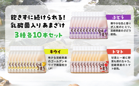 乳酸菌入りあまざけ ちほまろ 150g　30本セット【キウイ トマト ぶどう】 セット 飲み比べ 味比べ 詰め合わせ 無添加 砂糖不使用 日課 ノンアルコール 飲み物 ドリンク 飲料 お歳暮 贈り物 ギフト プレゼント 宮崎県 高千穂町 _Tk015-031-c30