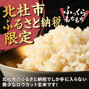 【3ヶ月定期便】 金芽ロウカット玄米 4kg(2kg×2)　玄米 無洗米 [h151]