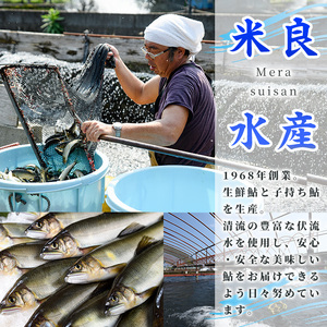 【北海道・離島配送不可】生若鮎(約1kg・12～16匹) 鮎 冷蔵 若鮎 生き〆 生きシメ 国産 門川町産 宮崎県産 塩焼き あゆ 川魚 養殖 香魚 期間限定 【ME-01】【米良水産】