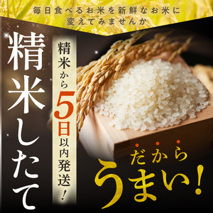 北海道産 ななつぼし 5kg【お米 精米 白米 新米 お米 お弁当 北海道産 ななつぼし 5kg お米5kg 白米5kg 北海道産米 道産米 米】_S036-0033