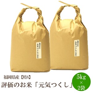 福岡県産【特A】評価のお米「元気つくし」5kg×2袋[10kg][白米]【059-0067】