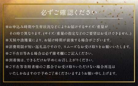 長崎の森で育てた『幻のクエ』 【セット】昆布〆 刺身用 5～6人前、鍋用 5～6人前 (1kg～2kg前後×2) ／ 海鮮 魚介 高級魚 刺身 刺し身 鍋 お鍋 セット クエ 養殖 長崎県 長崎市