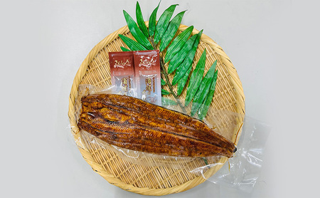 訳あり 国産 うなぎ 一般の約2倍 数量限定 蒲焼き 1本 250g 浜名湖産 鰻 特大 冷凍 浜松