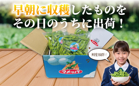 湘南枝豆 1.8kg【 枝豆 】 