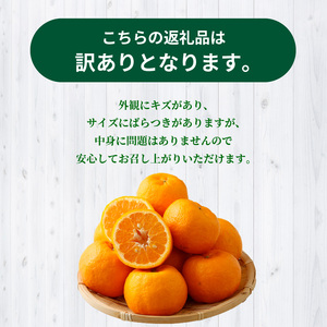 S040-028_【訳あり】農家の手摘み　天草ポンカン　家庭用　5kg