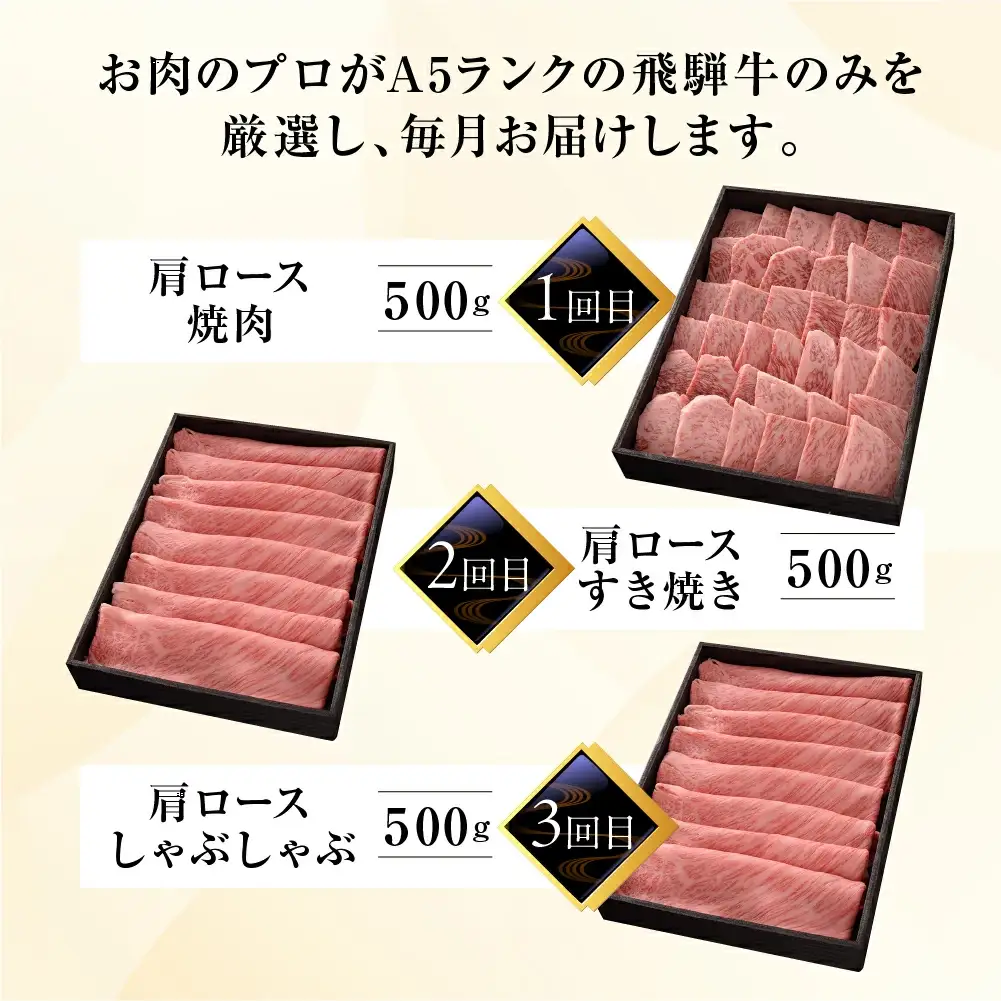 【定期便 3回】飛騨牛食べ比べ【冷蔵配送】【39-B】