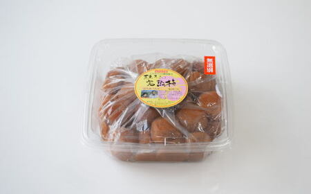 紀州南高梅使用　はちみつうす塩味完熟梅干し 無選別1kg / 和歌山 梅干し 田辺市 紀州南高梅 南高梅 梅干 梅 うめ 肉厚 お米 おにぎり 焼酎 梅酒 健康詰【tec971A】