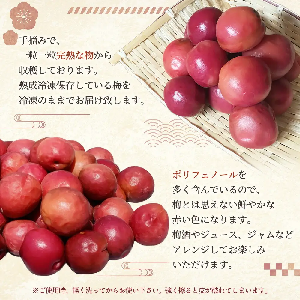 小高の露茜 (完熟熟成冷凍梅) 2kg ｜ 梅 福島県