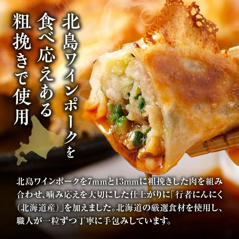 北島ワインポークを味わう 粗挽きギョーザ 行者にんにく入り（1袋20ケ入り）×2袋_Y132-0002