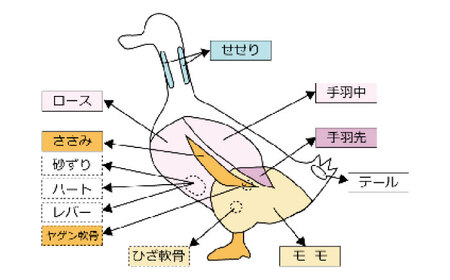 土佐鴨 笹身 (フレッシュ冷蔵) 約1kg 土佐鴨 土佐ジロー飼育研究会 かも カモ ささみ ササミ 【グレイジア株式会社】 [ATAC589]