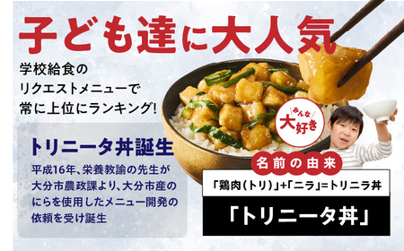 鶏の旨味とニラの香りが食欲をそそる「トリニータ丼キット」1食用×5袋_2474R
