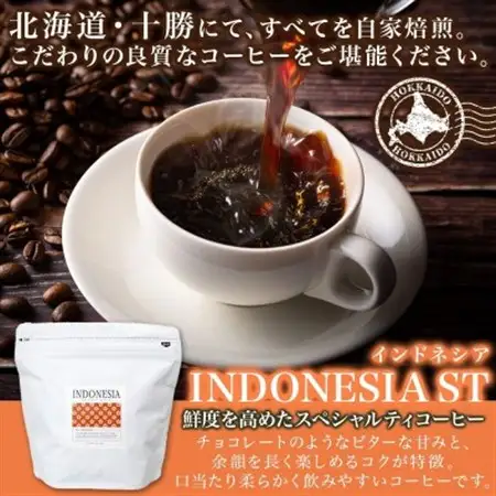 コーヒー豆 インドネシア 100g 2袋 鮮度を高めたスペシャルティコーヒー 北海道 帯広市_飲料・ドリンク コーヒー豆 コーヒー・コーヒー豆 珈琲 珈琲豆_【1536980】