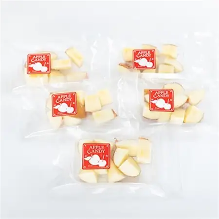 和泉市丸カットりんご飴100g×5袋(冷凍)【配送不可地域：離島】【1550964】