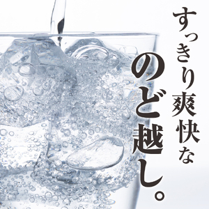 くらしモア 強炭酸水 レモン 1L 2箱(30本入り) 炭酸水 飲料