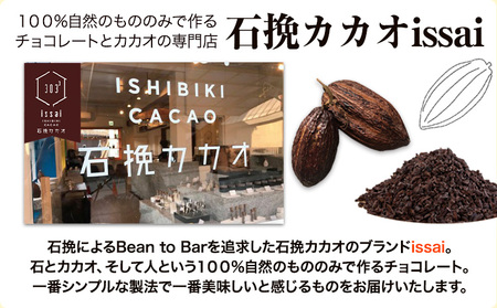 石挽きチョコアイス Lサイズ 12個 チョコレート