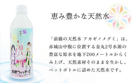 水 ミネラルウォーター 前橋ウィッチーズラベル 500ml 48本 ミネラルウォーター 水