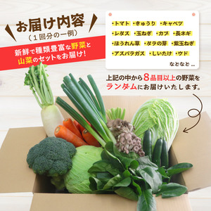 野菜 赤城南麓で育った季節の野菜