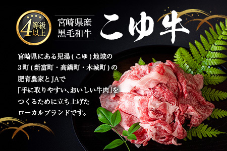 ［訳あり］宮崎黒毛和牛『こゆ牛』切り落とし 計1kg A4等級以上 ブランド牛 宮崎県産 冷凍 和牛 牛肉 国産【B67】