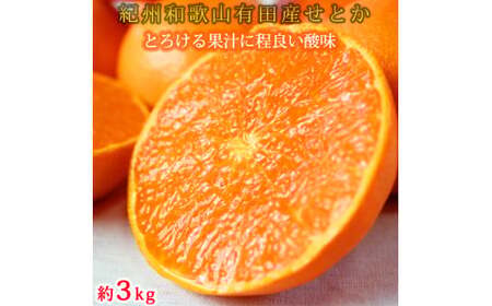 定期便【全3回】紀州和歌山産旬のフルーツセット せとか 桃 富有柿 【tkb392】