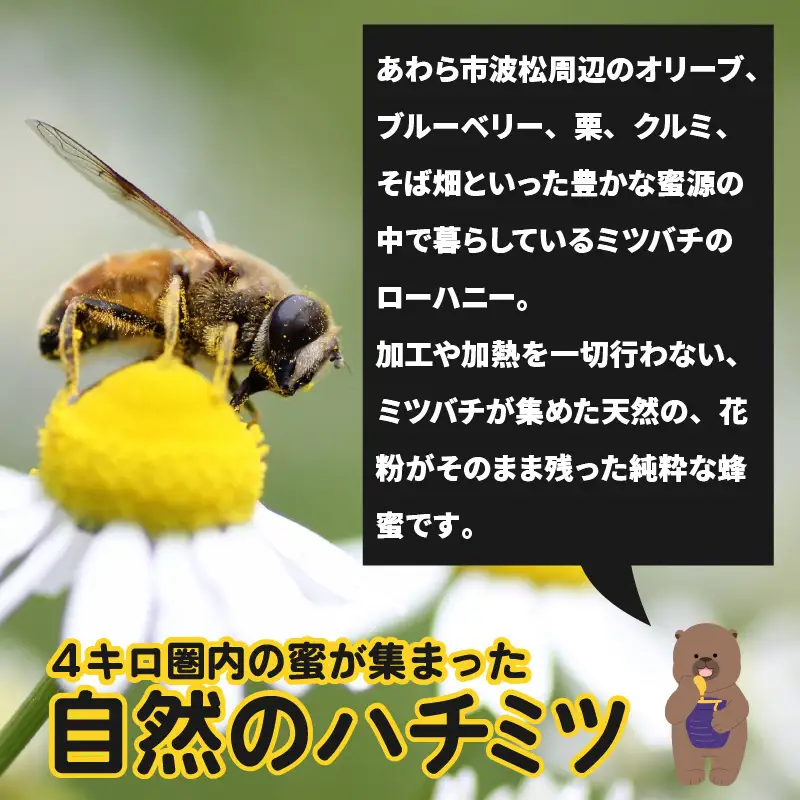 【天然はちみつ】 raw honey あわら蜜 4個 / 非加熱 生産者直送 蜂蜜 ミツバチ 純はちみつ ローヤルゼリー 生はちみつ みつばち [aw101-d001]