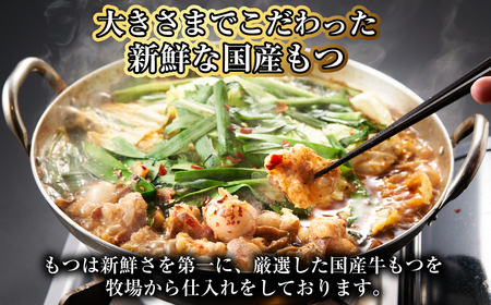 【20営業日以内発送】【もつ鍋+炎のもつ鍋】国産牛 長崎 もつ鍋 セット (醤油味+辛みそ付醤油味) 細麺付 各2～3人前×2セット ／ もつ鍋居酒屋ばか正直 もつ鍋 モツ鍋 鍋 もつ モツ 和牛モツ ホルモン 長崎県 長崎市