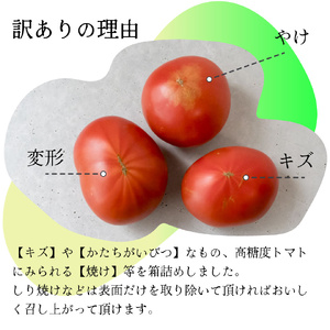 【ふるさと納税】〈2026年12月下旬～順次発送〉訳あり 3回 定期便 フルーツトマト 原田農園＜1.6kg 箱入＞ 桃太郎【常温】送料無料 家庭用 ワケあり 変形 キズあり 高知県　