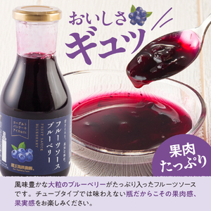フルーツソース320g　ブルーベリー（6本）和歌山産業提供 hi070-001　ブルーベリー フルーツ 果物 クダモノ くだもの ソース パン ヨーグルト ご当地 グルメ お取り寄せ 送料無料 山形県 東根市 ふるさと納税 人気