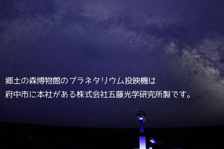 府中市郷土の森博物館・プラネタリウム観覧券（入館券付き）１０枚セット（こども用）
