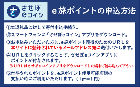 【 佐世保観光 トラベルポイント 】させぼe旅ポイント 6000円 トラベル