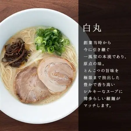 博多一風堂 豚骨ラーメン 白丸1食×12箱 とんこつ博多細麺_ラーメン 博多一風堂 らーめん 細麺 博多豚骨 豚骨 とんこつ 白丸 名店 ブランド 九州 福岡 一風堂 ご当地 贈答 ギフト おすすめ 人気 送料無料 お取り寄せ 国産 常温 セット_【1558469】