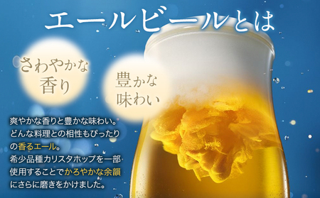 【3ヶ月定期便】香るエールプレモル 2ケース 48本 350ml  《お申込月の翌月より発送》