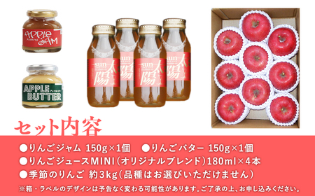 【レビューキャンペーン】青森県産りんご＆りんご加工品詰め合わせセット[hi-0053-007]