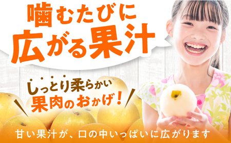 【★先行予約★ 2026年9月中旬より発送】梨（甘太）約5kg /  なし 果物 梨 フルーツ[AFAB061]