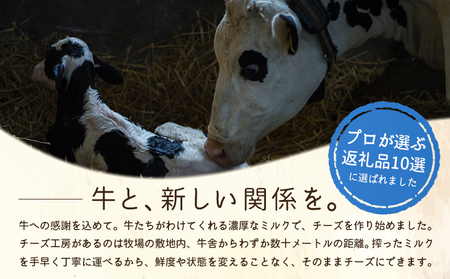 竹下牧場 takeshita farm リコッタチーズセット 計470g【2401702】