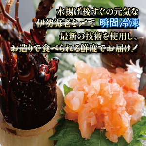 【冷凍】 伊勢海老 500g 2尾 ～ 3尾 伊勢海老
