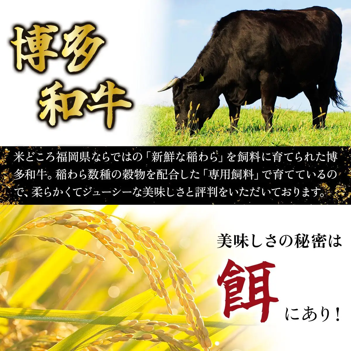 博多和牛 切り落とし赤身・バラミックス800g (400gx2パック) 