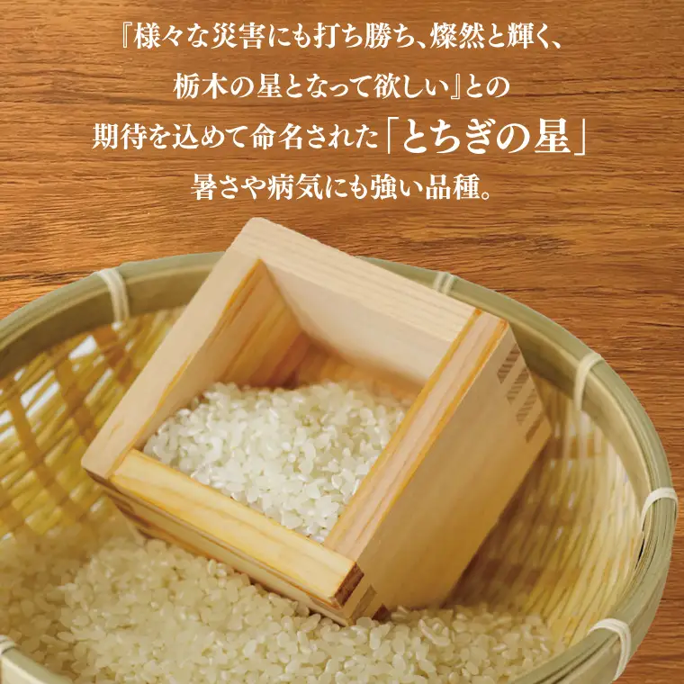 米 令和7年産 とちぎの星 5kg 栃木県産 益子町 AU023-ss