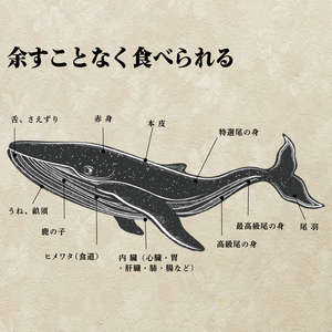 鯨赤身 霜降り  計600g 鯨 FG045