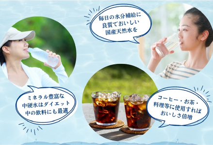 【ミネラルたっぷり】ラベルのない細野の天然水 555ml×24本 1箱（ ミネラルウォーター 天然水 中硬水 シリカ )