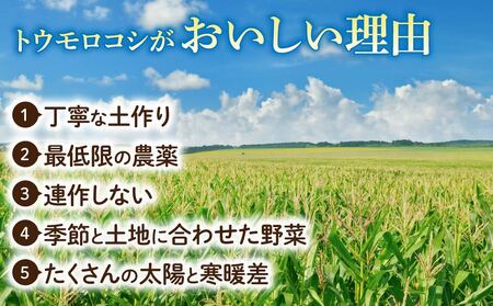 【先行受付2026年発送】生でもすごく甘い！生きた土壌で育った『とうもろこし』2Lサイズ8本｜里山JAPAN ※2026年7月中旬以降発送予定