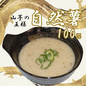 とろろ 冷凍 125g × 6個 自然薯 100％ 小分け セット とろろ汁