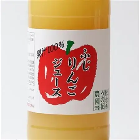 【2ヵ月毎定期便】丸ごとサンふじりんごジュース　1L×2本全6回【4058404】