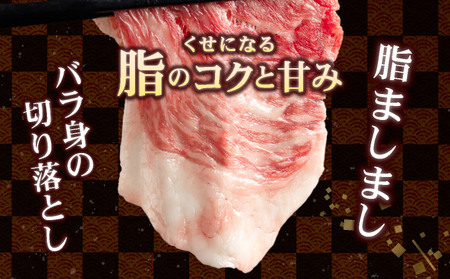【訳あり】脂ましまし！佐賀牛切り落とし 1～2・ B-11～2　牛肉 薄切り  煮込み 牛丼 しぐれ煮 