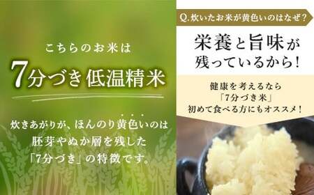 【先行予約】令和8年産 立山 天空の散歩道 吟撰米 精米5kg 立山天空米 低温精米 国産 米 お米 日本米 ギフト 贈り物 備蓄 防災 食品 F6T-976