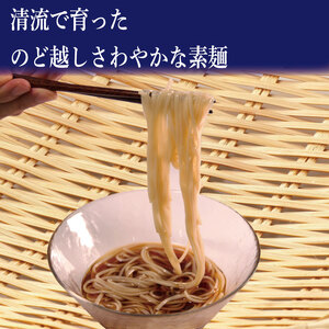 半田 そうめん 手延べ素麺 80g×21束【 そうめん 】