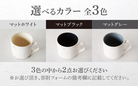 【美濃焼】SHIKKUI マグS 2個セット マット 色が選べる【marushin-pottery 丸新製陶】[MAM082]