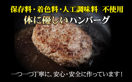特製 佐賀牛100%ハンバーグ(150gx6個) 計900g B140-027 / 冷凍 おかず 国産 牛肉 ハンバーグ