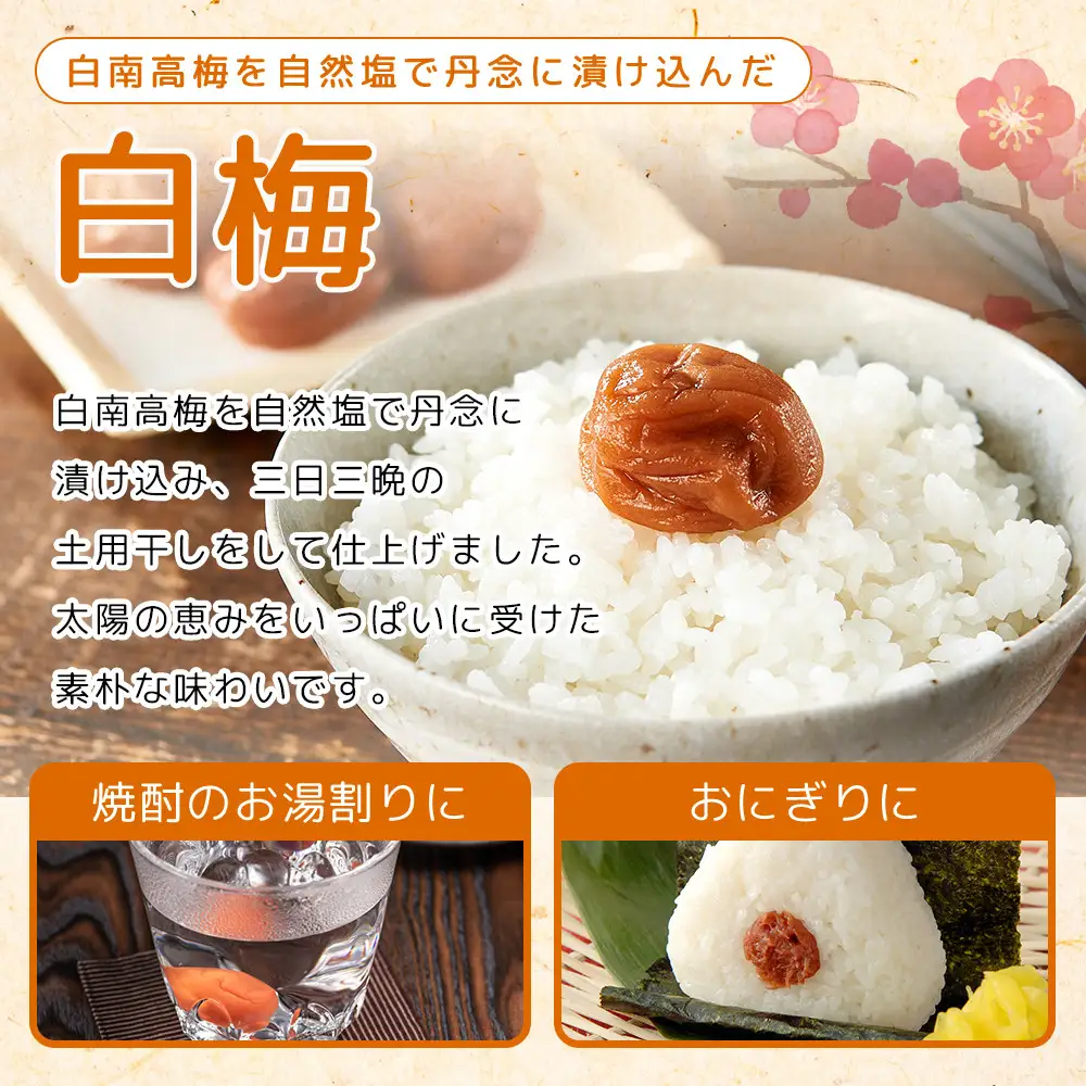 紀州南高梅 口熊野 ご家庭用 1kg 白梅 塩分約22％